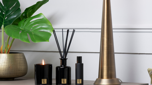 Vasco - Black Moss & Jasmine Collection Box