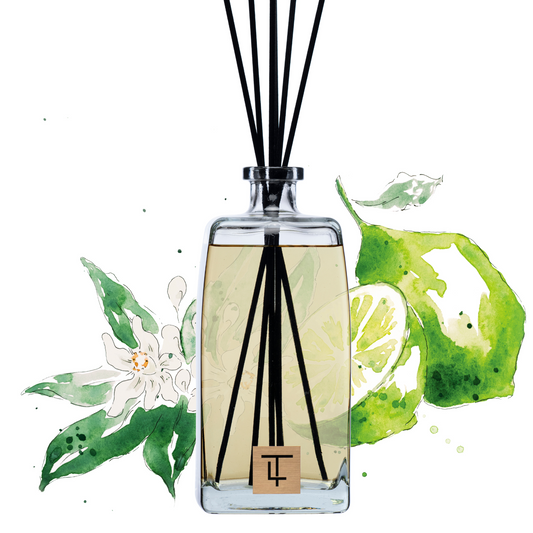 3 Litre Deluxe Diffuser - Ilaria -Neroli, Cardamom and Lime